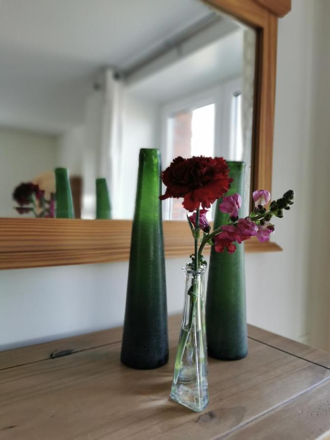 Housing De Brouwerij Bed & Breakfast Westdorpe Bagian luar foto